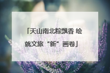 天山南北粽飘香 绘就文旅“新”画卷