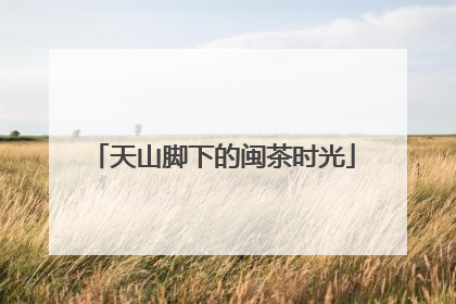 天山脚下的闽茶时光