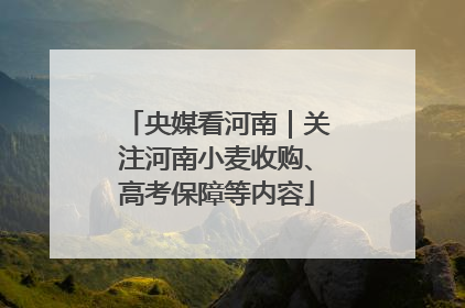 央媒看河南｜关注河南小麦收购、高考保障等内容