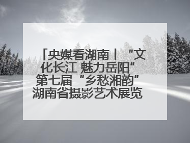 央媒看湖南丨“文化长江 魅力岳阳”第七届“乡愁湘韵”湖南省摄影艺术展览盛大启幕