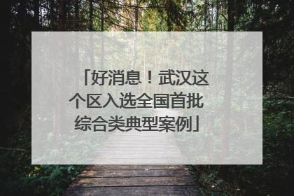 好消息！武汉这个区入选全国首批综合类典型案例