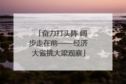 奋力打头阵 阔步走在前——经济大省挑大梁观察