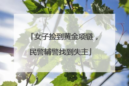 女子捡到黄金项链，民警辅警找到失主