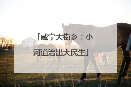 威宁大街乡：小河道治出大民生