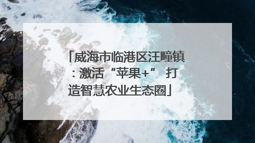 威海市临港区汪疃镇：激活“苹果+” 打造智慧农业生态圈