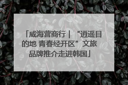 威海营商行｜“逍遥目的地 青春经开区”文旅品牌推介走进韩国