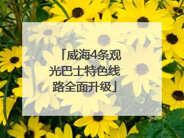 威海4条观光巴士特色线路全面升级