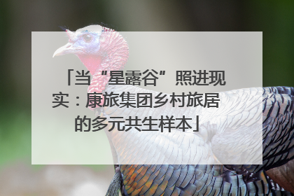 当“星露谷”照进现实：康旅集团乡村旅居的多元共生样本