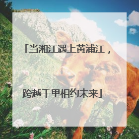 当湘江遇上黄浦江，跨越千里相约未来