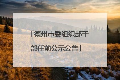 德州市委组织部干部任前公示公告