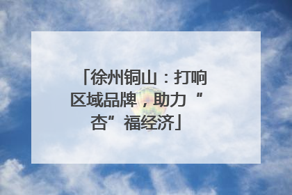 徐州铜山：打响区域品牌，助力“杏”福经济
