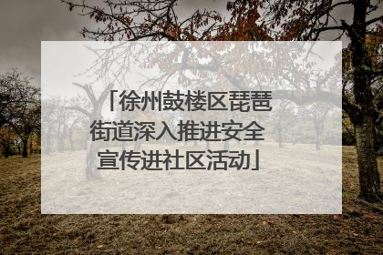 徐州鼓楼区琵琶街道深入推进安全宣传进社区活动
