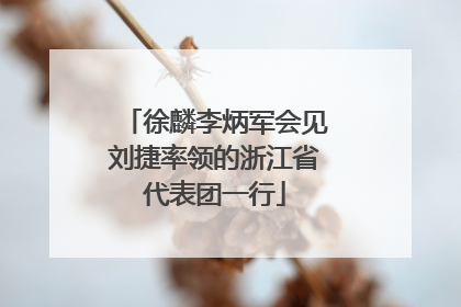 徐麟李炳军会见刘捷率领的浙江省代表团一行