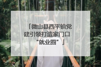 微山县西平镇党建引领打造家门口“就业圈”