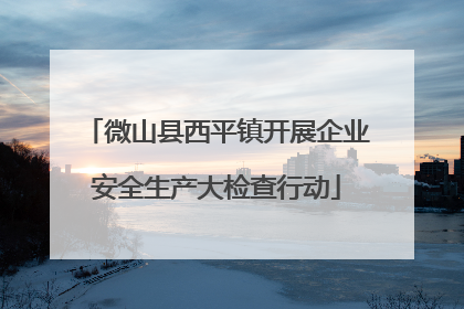 微山县西平镇开展企业安全生产大检查行动