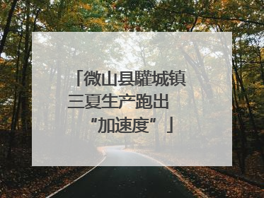 微山县驩城镇三夏生产跑出 “加速度”