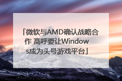 微软与AMD确认战略合作 高呼要让Windows成为头号游戏平台