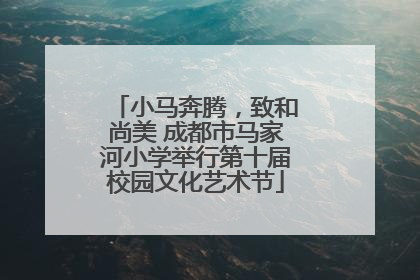 小马奔腾，致和尚美 成都市马家河小学举行第十届校园文化艺术节