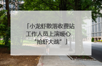 小龙虾散落收费站 工作人员上演暖心“抢虾大战”
