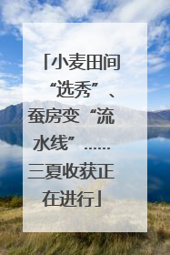 小麦田间“选秀”、蚕房变“流水线”……三夏收获正在进行
