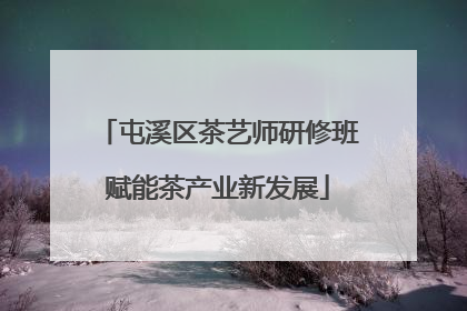 屯溪区茶艺师研修班赋能茶产业新发展