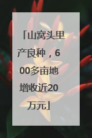 山窝头里产良种，600多亩地增收近20万元