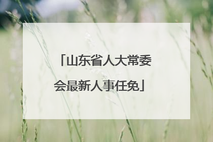 山东省人大常委会最新人事任免