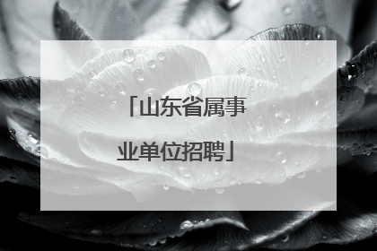 山东省属事业单位招聘