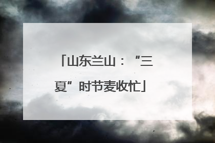 山东兰山：“三夏”时节麦收忙