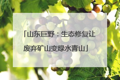山东巨野：生态修复让废弃矿山变绿水青山