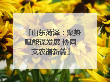 山东菏泽：聚势赋能谋发展 协同支农谱新篇
