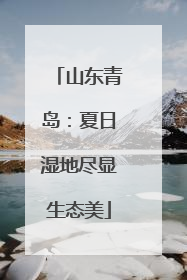 山东青岛：夏日湿地尽显生态美