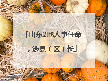 山东2地人事任命，涉县（区）长