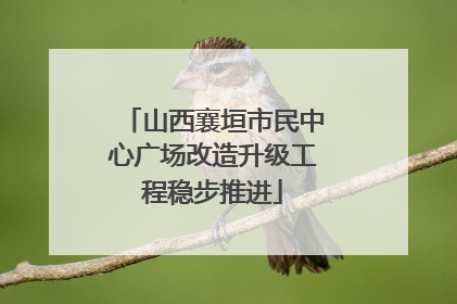 山西襄垣市民中心广场改造升级工程稳步推进