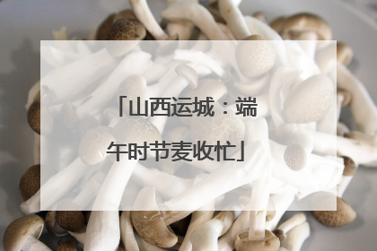 山西运城：端午时节麦收忙