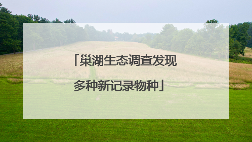巢湖生态调查发现多种新记录物种