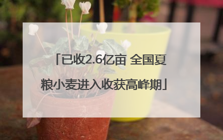 已收2.6亿亩 全国夏粮小麦进入收获高峰期