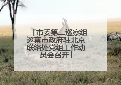 市委第二巡察组巡察市政府驻北京联络处党组工作动员会召开