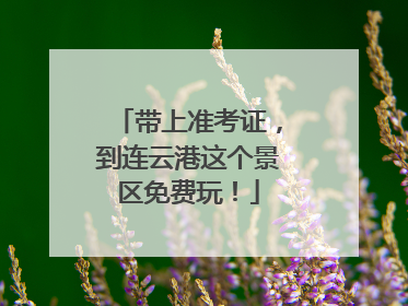 带上准考证，到连云港这个景区免费玩！