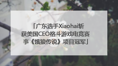 广东选手Xiaohai斩获美国CEO格斗游戏电竞赛事《饿狼传说》项目冠军
