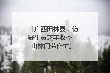 广西田林县：仿野生灵芝丰收季 山林间劳作忙