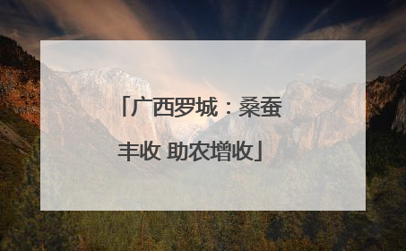广西罗城：桑蚕丰收 助农增收