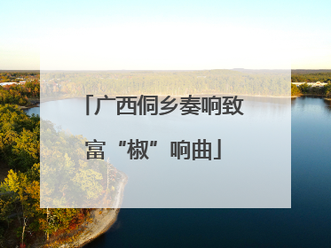 广西侗乡奏响致富“椒”响曲