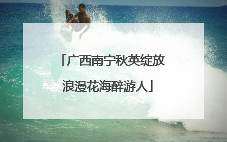 广西南宁秋英绽放 浪漫花海醉游人