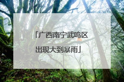 广西南宁武鸣区出现大到暴雨