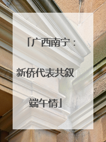 广西南宁：新侨代表共叙端午情