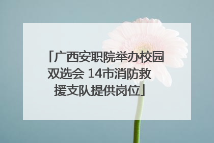 广西安职院举办校园双选会 14市消防救援支队提供岗位