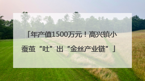 年产值1500万元！高兴镇小蚕茧“吐”出“金丝产业链”