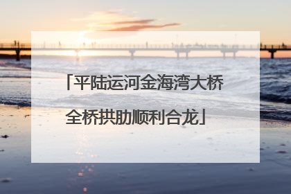 平陆运河金海湾大桥全桥拱肋顺利合龙