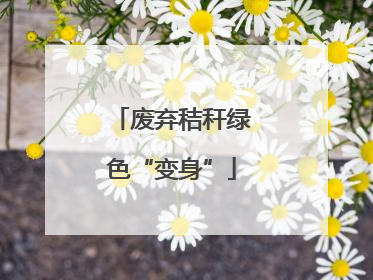 废弃秸秆绿色“变身”